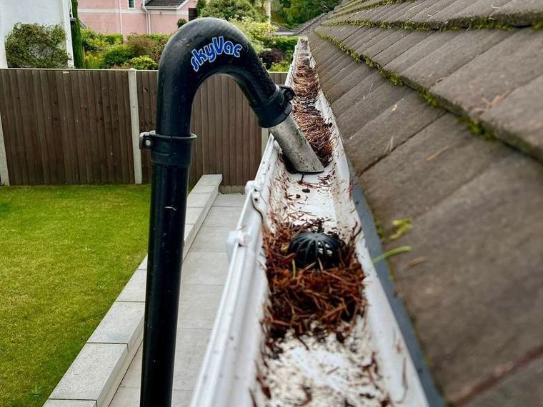 A gutter full of pine needles with a vacuum pole clearing it