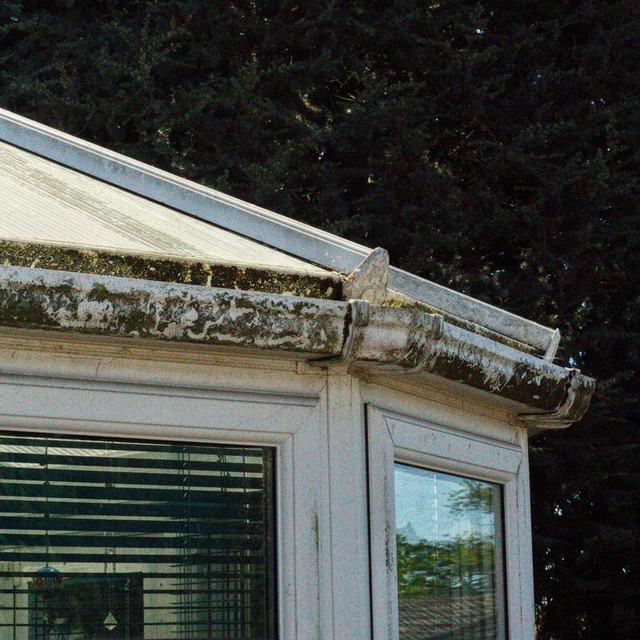 Moss-stained conservatory gutter and window frames