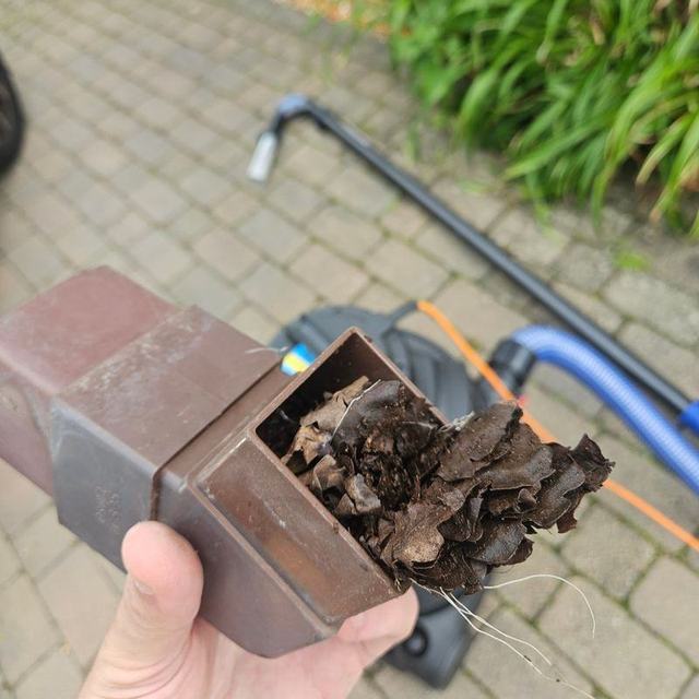 Leaves and debris pulled out of a blocked brown downpipe