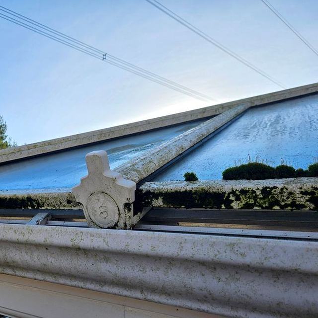 Moss and algae on a conservatory gutter and roof edge